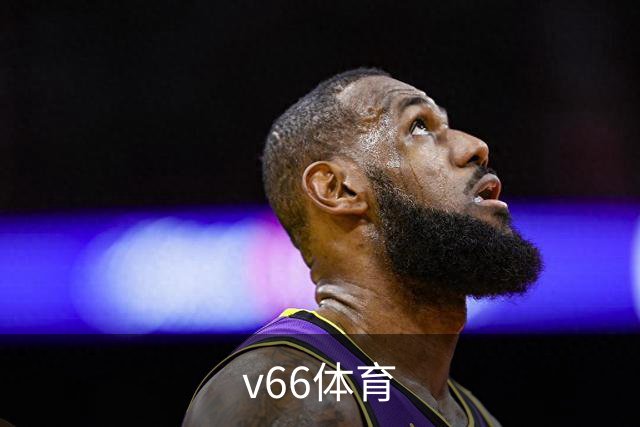 v66体育公司介绍图片